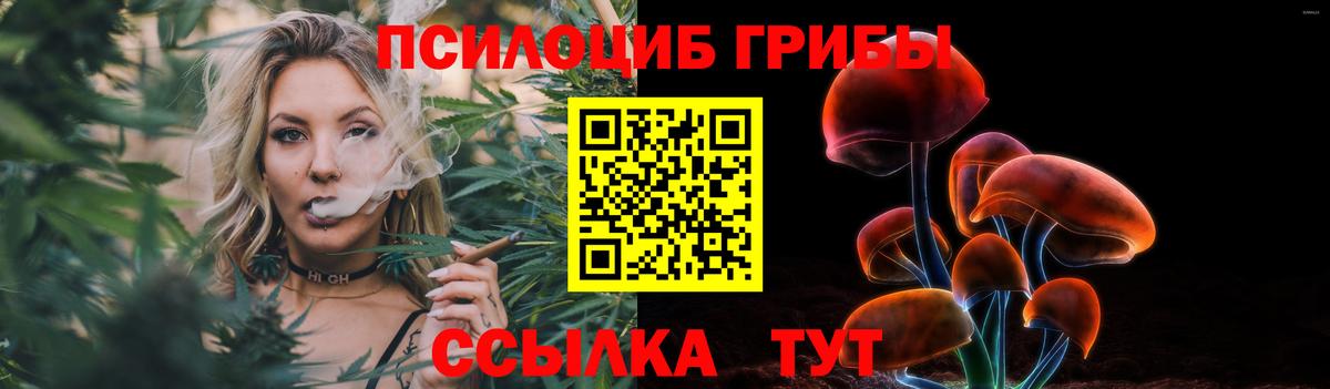 Лыткарино  Псилоцибиновые грибы MAGIC MUSHROOMS  Галлюциногенные грибы прущие грибы  Вход с VPN 